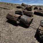 2023OTRA_733 (May 07, 2023)